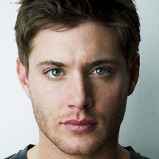 Схема вышивки «Дженсен Эклз»