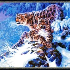 Схема вышивки «любовь тигровая»