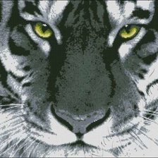 Схема вышивки «тигр»