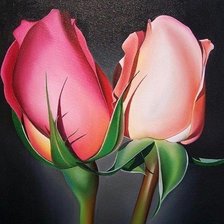 Схема вышивки «Розы»