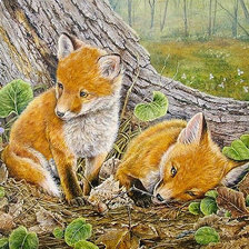 Схема вышивки «Лисята»