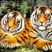 Схема вышивки «два тира»