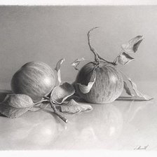 Схема вышивки «№1273821»