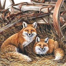 Схема вышивки «Серия "Фауна"»