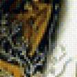 Предпросмотр схемы вышивки «Сальвадор Дали» (№1274076)