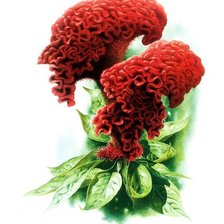 Схема вышивки «№1274182»