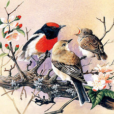 Схема вышивки «№1274184»