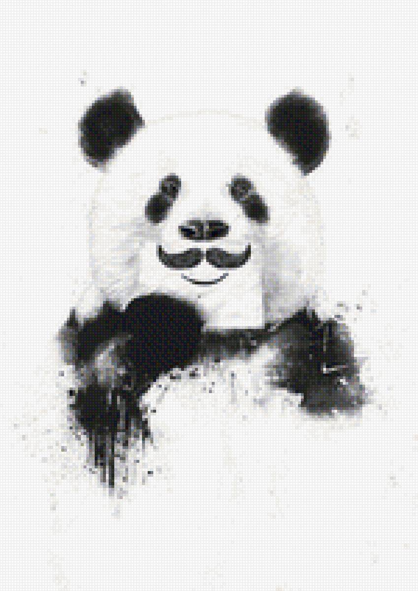 Панда - предпросмотр