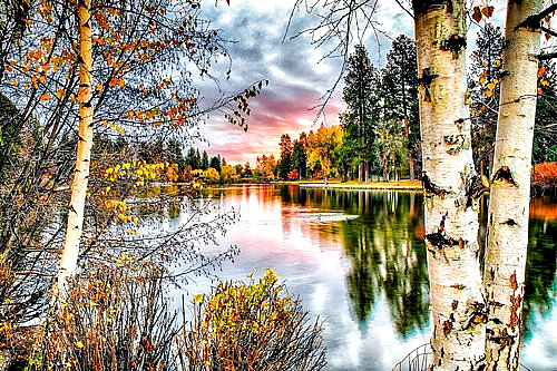 №1274482 - оригинал