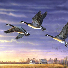 Схема вышивки «В дальние края»