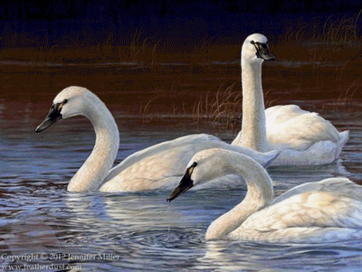 №1274827 - предпросмотр