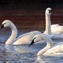 Схема вышивки «№1274827»