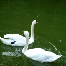 Схема вышивки «Пара лебедей»