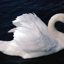 Схема вышивки «Лебедушка»