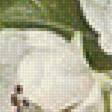 Предпросмотр схемы вышивки «№1274932»