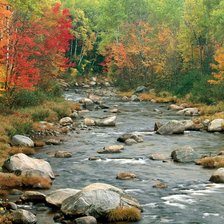 Схема вышивки «Лесной ручей»