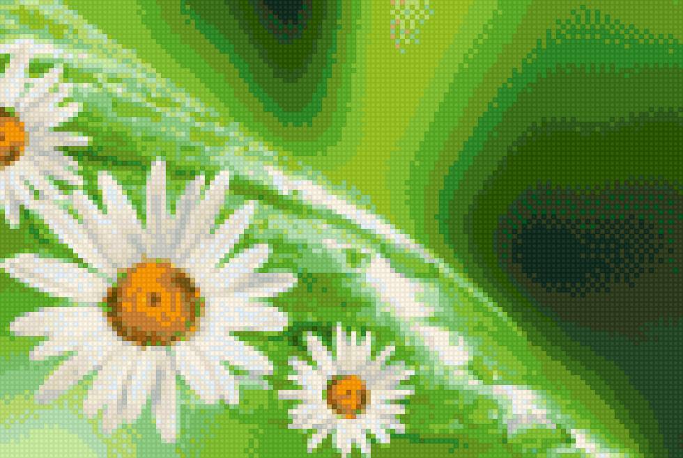 ромашки - ромашки, цветы - предпросмотр