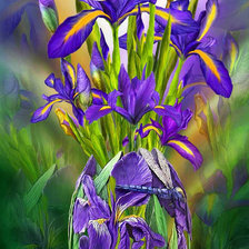 Схема вышивки «ирисы»