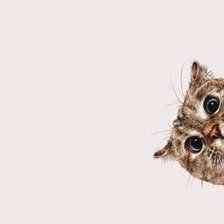 Схема вышивки «кот выглядывает»