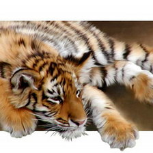 Схема вышивки «Тигр»