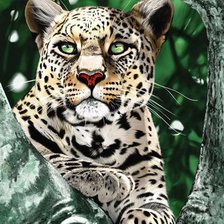 Схема вышивки «Серия "Фауна"»