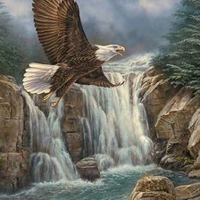 Схема вышивки «орёл 1»