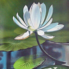 Схема вышивки «Водяной цветок»