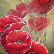 Схема вышивки «Прелесть маков»