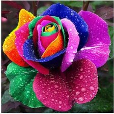 Схема вышивки «№1276879»