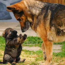 Схема вышивки «№1277507»