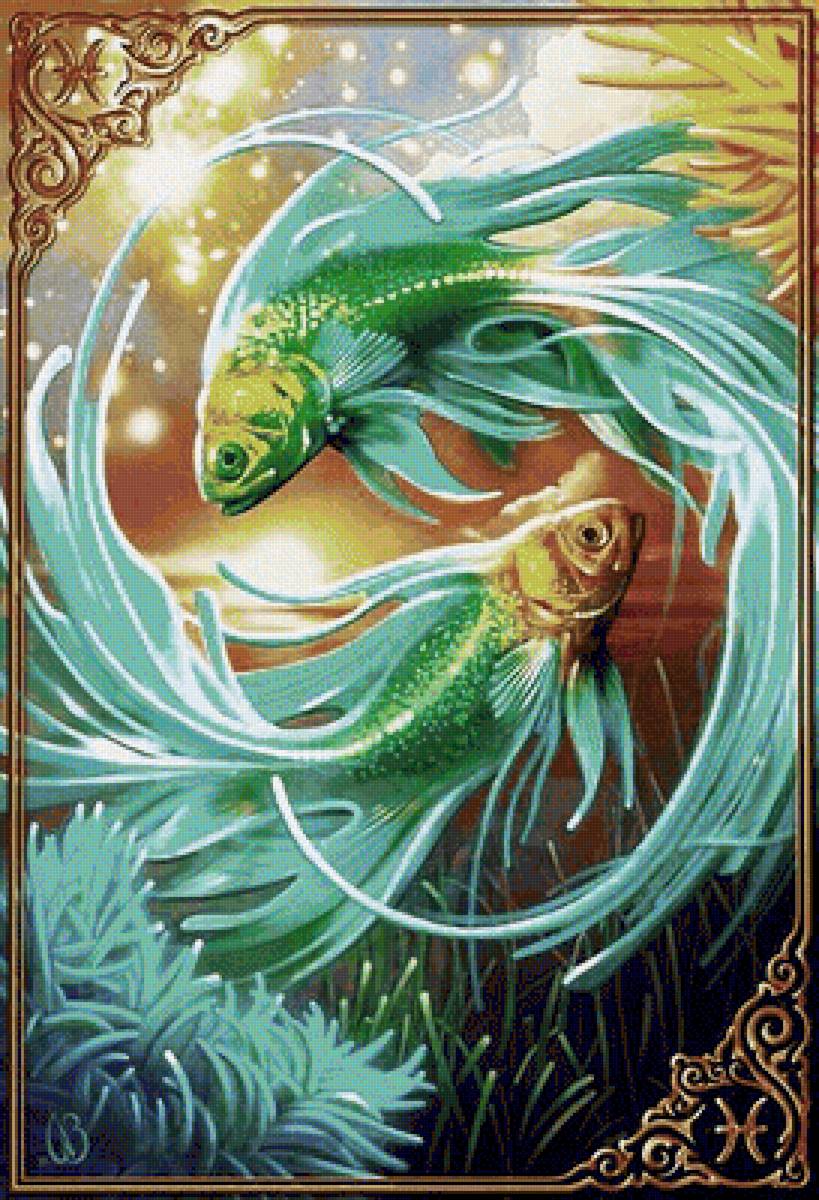 рыбки - предпросмотр