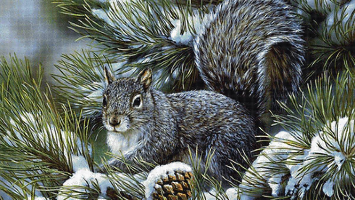 лесная красавица - предпросмотр