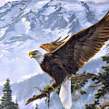 Схема вышивки «№1277886»