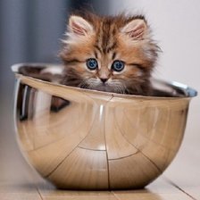 Схема вышивки «№1278053»