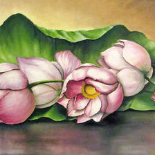 Схема вышивки «Розовые лилии»