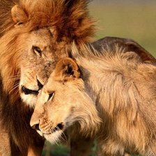 Схема вышивки «Любовь»