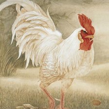 Схема вышивки «Петух»