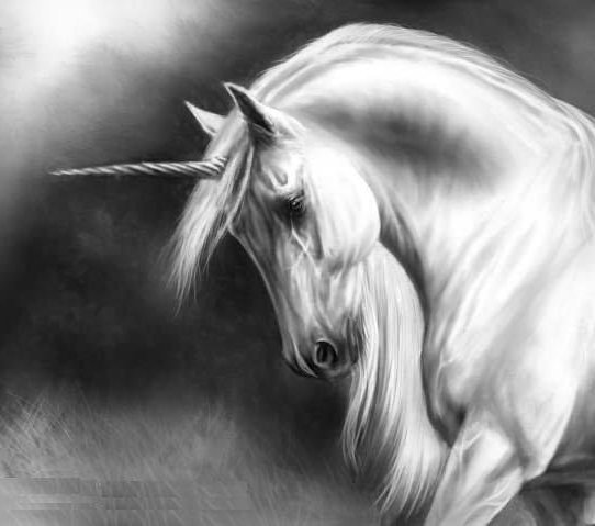 единорог монохром - единорог, монохром - оригинал