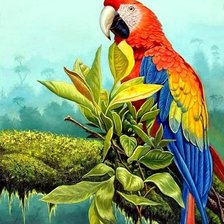 Схема вышивки «Попугай»