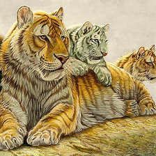 Схема вышивки «220»