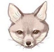 Схема вышивки «Фенек»