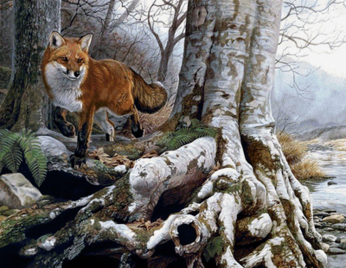 Лисичка - звери, лес, лиса, пейзаж, природа - предпросмотр