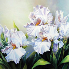 Схема вышивки «Ирисы»