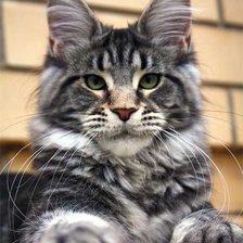 Схема вышивки «майкун»