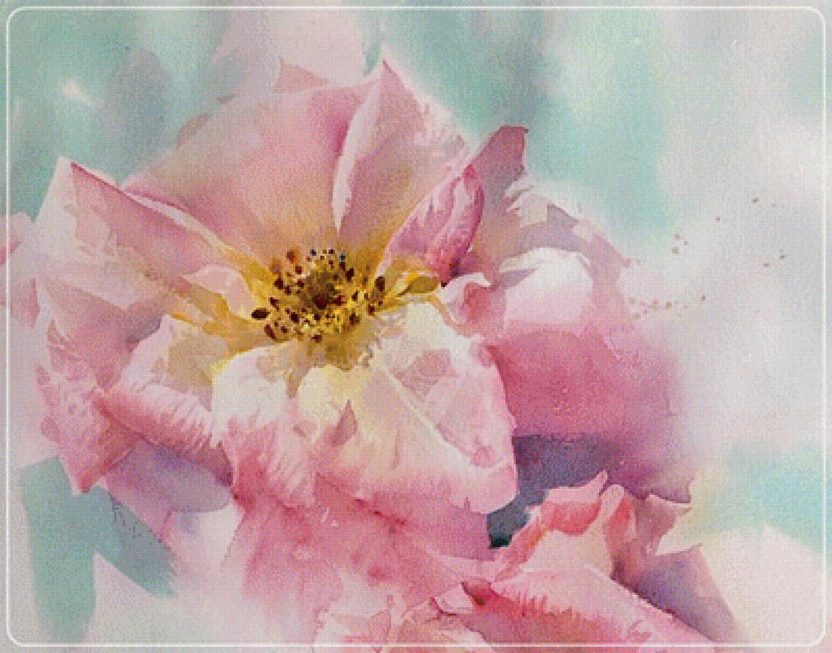 Шиповник.  Adisorn Pornsirikarn - цветы, художники - предпросмотр