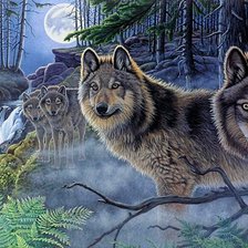 Схема вышивки «ночной дозор»