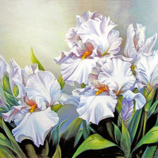 Схема вышивки «Ирисы»