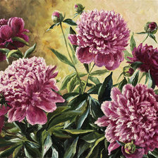 Схема вышивки «Пионы»