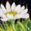 Предпросмотр схемы вышивки «в ромашках» (№1282423)