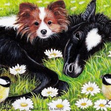 Схема вышивки «в ромашках»